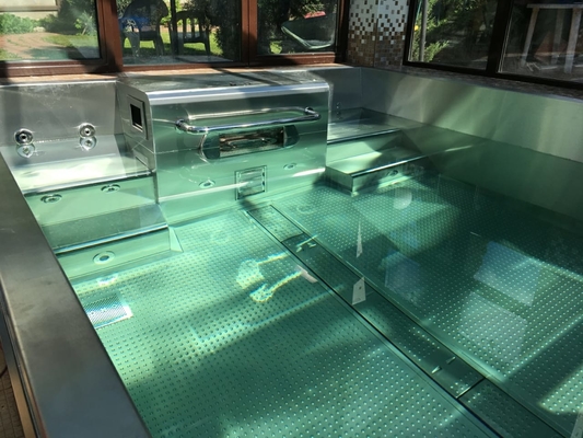 美しいHydromassageの庭の金属フレームのモジュラー地下のプールの水泳の鉱泉贅沢な12x24 地下のプール