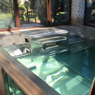 美しいHydromassageの庭の金属フレームのモジュラー地下のプールの水泳の鉱泉贅沢な12x24 地下のプール